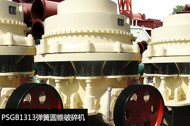 PSGB1313(bio)(zhn)͏ɼ(x)C